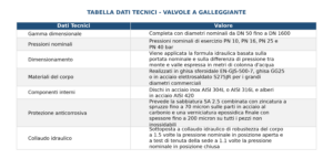 Tabella dei dati tecnici delle valvole a galleggiante con intervalli di diametri DN e pressioni nominali PN.
